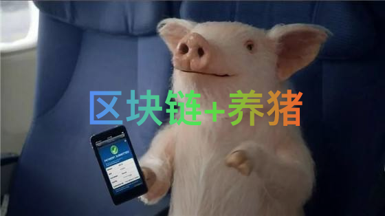 豬價暴漲非最大難題，區(qū)塊鏈賦能巧破行業(yè)隱患